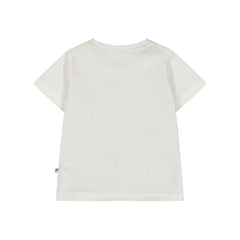 t-shirt bambino